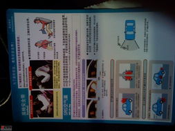 守護安全，從細節開始 4S店豐田印刷品中的安全帶與氣囊安全指南