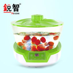 【深圳果蔬洗菜機(jī)價(jià)格_銳智果蔬寶解毒機(jī)果蔬解毒機(jī)廠家銳智洗菜機(jī)_銳智洗菜機(jī)圖片】-