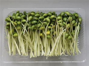 菜立方加盟,銷量可觀利潤豐厚