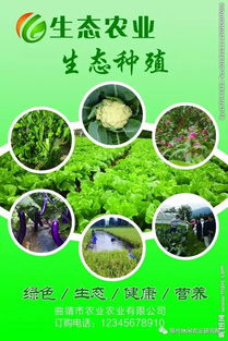 品牌農業時代來了,農產品品牌營造的五大特征與八大法則
