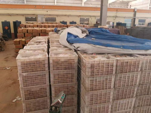 連云港農副產品批發市場暢通本地蔬菜銷售通道