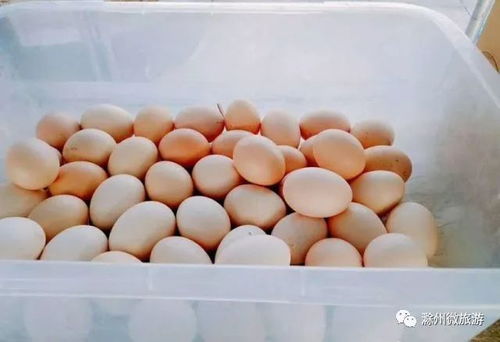 速來圍觀 八嶺湖首屆年貨采購節優惠促銷開始啦
