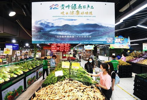 貴陽 農村電商為鄉村振興插上金翅膀