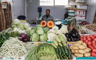 一大波新規已經實施,每一條都影響你的生活 最后三條農民一定要看