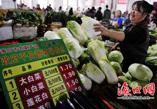 海口平價蔬菜亮牌銷售 最高兩塊五