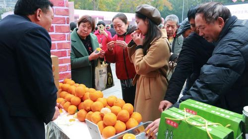 供銷前線 推動隆昌特色農副產品 走出去