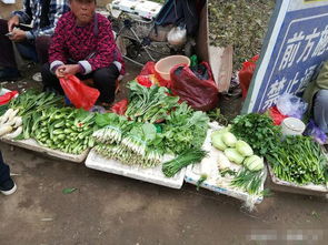 農(nóng)民進城銷售農(nóng)副產(chǎn)品不用和城管 躲貓貓 自產(chǎn)自銷區(qū)助力農(nóng)民