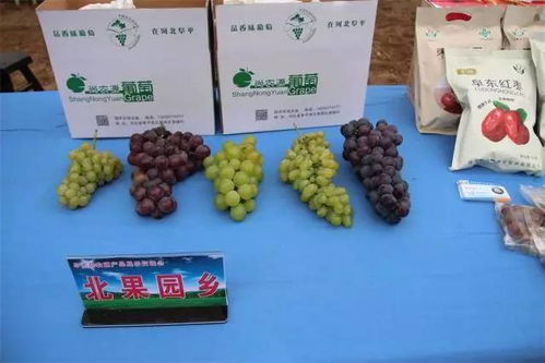 阜平縣舉辦農(nóng)副產(chǎn)品展示交流會
