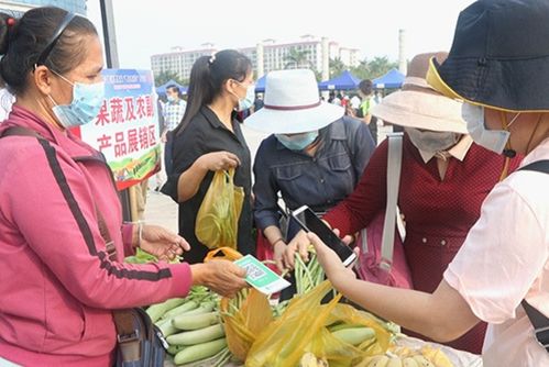 昌江啟動首場消費扶貧 春風大行動 半天銷售約20萬元 圖