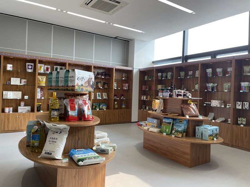 南京援疆 在伊犁河谷繪制鄉村振興圖景