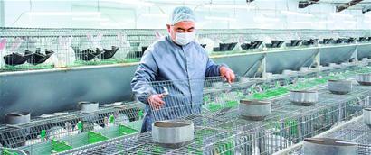 青島農業:綠色品質,世界共享