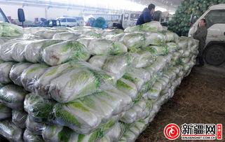 城北新區綜合市場開業 保障烏市300多家蔬菜直銷點供應