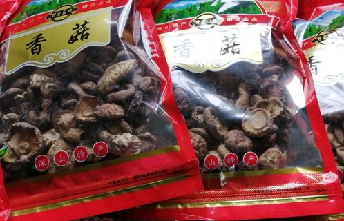 麻城桃林河村 小香菇撐起鄉村振興 致富傘