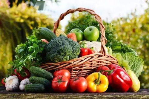 廈門平價蔬菜6月1日起停售 豬肉貼銷售政策繼續執行