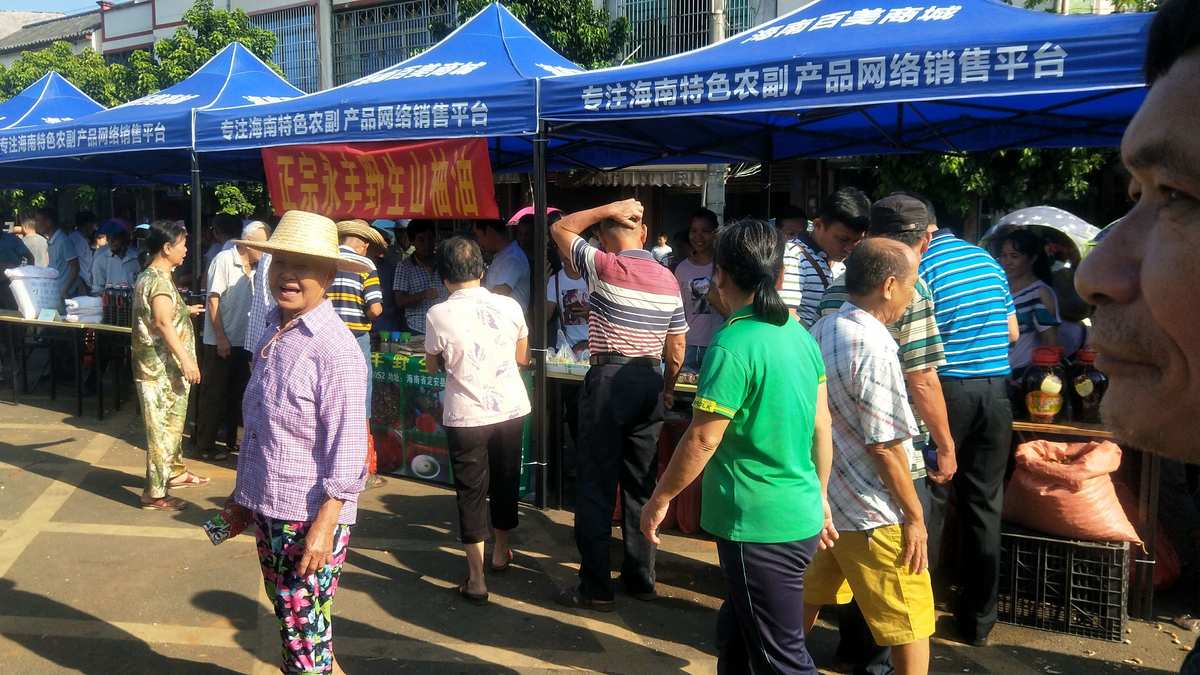 《愛心扶貧大集市百場百家》海南定安龍門專場開市了 - 美篇