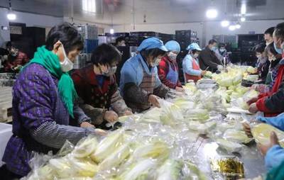 菜荒?記者今天一口氣跑了五個郊區,眼都綠了!