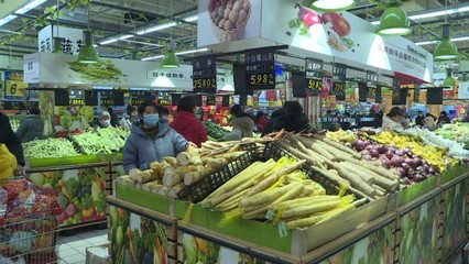 【新春走基層】放心!雨雪再大"菜籃子"供應都有保障